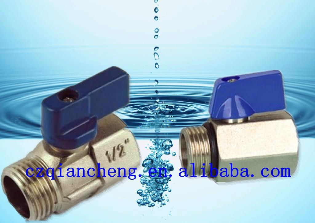 SS  pieces ball valve 