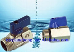 SS  pieces ball valve