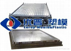 SMC tray mould