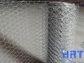 hexagonal wire mesh