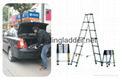 2.6M double telescopic ladder