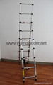 Combined telescopic ladder (YD2-2-2.6B)