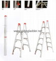 stick ladder, folding ladder 1