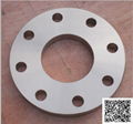 Zirconium Flanges 1