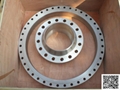 Zirconium Flanges 3