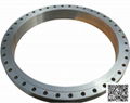 DIN Flange 3