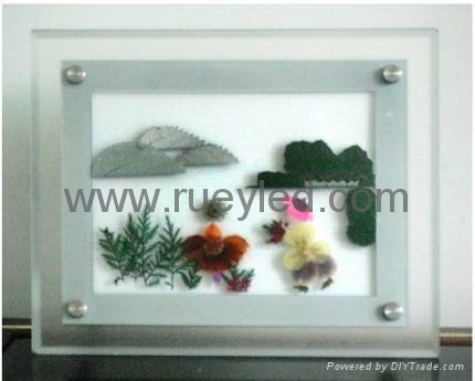 Acrylic LED Photo Frame