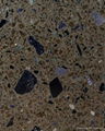 Quartz Surface for Countertops  1