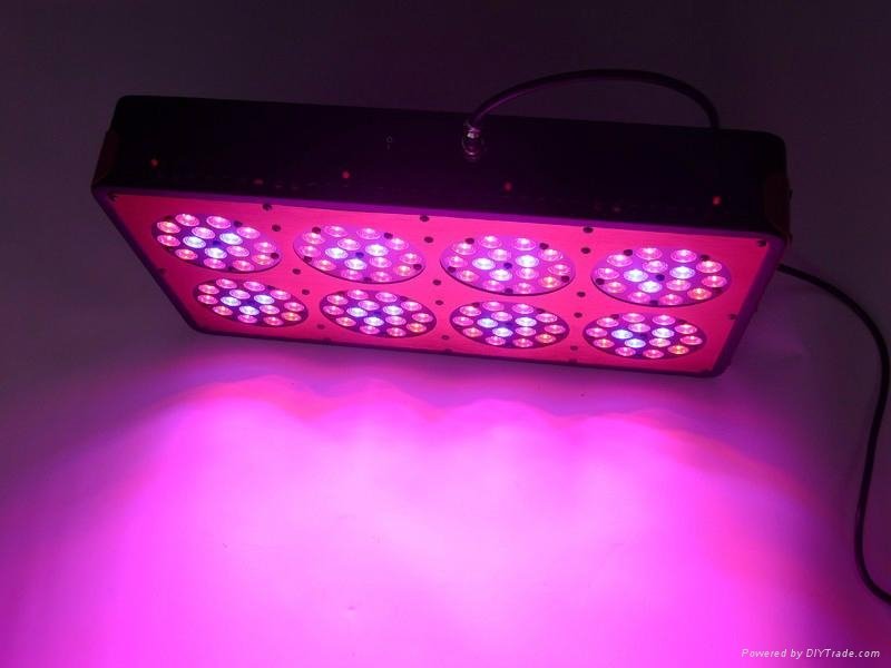 LED植物灯 2