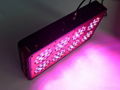 LED植物燈 3