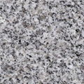 Granite G603 Big Slab 1