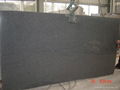 Good Quality Promotional Price G654 Granite 1