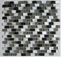 High Quality Glass mix Shell Mosaic