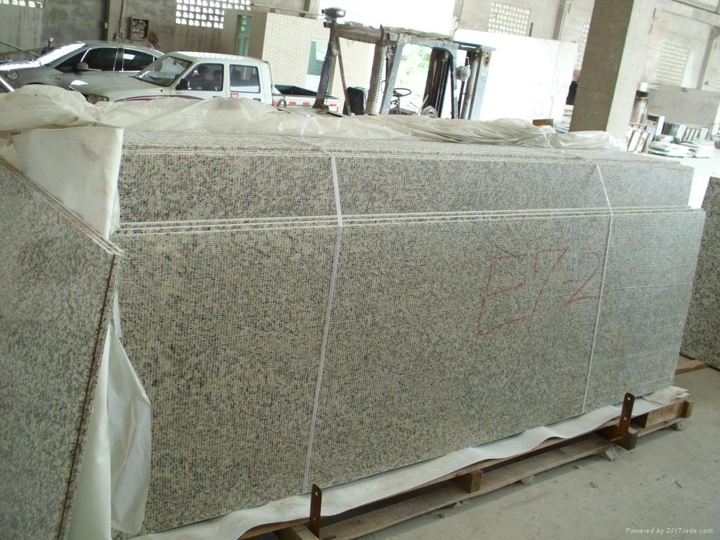 Prmotional Price Hot Market Nature Stone Tiger White Granite