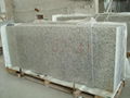 Prmotional Price Hot Market Nature Stone Tiger White Granite 2