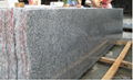 Nature G623 Grey Granite Tiles 60X60 3