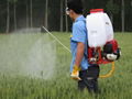 power sprayer 5