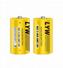 LR14 C size alkaline battery with 1.5V