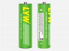 R6P AA batteries with 1.5V