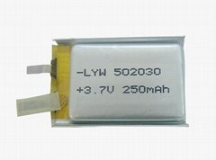 li-polymer battery