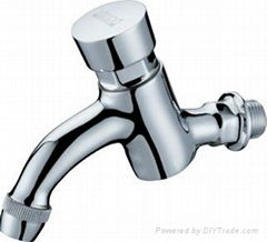 Wall-mounted Self-closing Basin Faucet