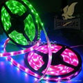 LED flexible strip light 60pcs 5050SMD per Meter   4