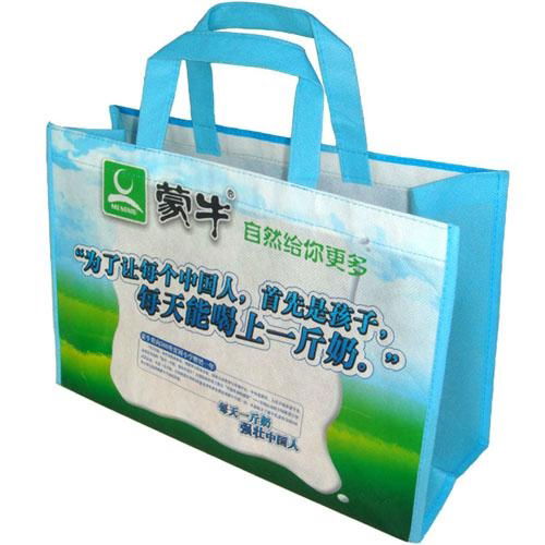 Foldable Eco Shopping Bag 2