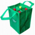 Foldable Eco Shopping Bag 4