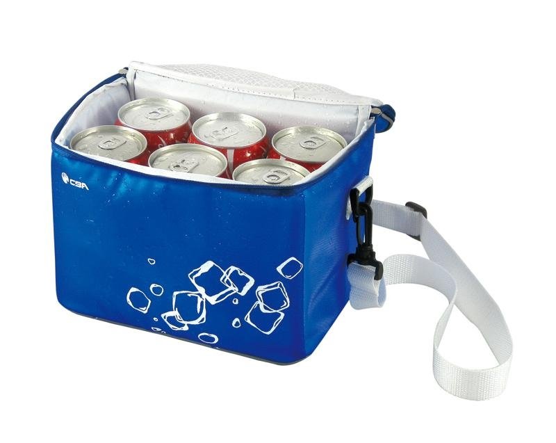  cooler bags for promotion 5