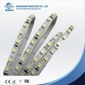 3528 SMD LED Strip  5mm PCB