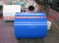 pre-painted galvanized steel coil 1