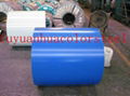 pre-painted galvanized steel coil