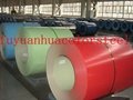 pre-painted galvanized steel coil 4
