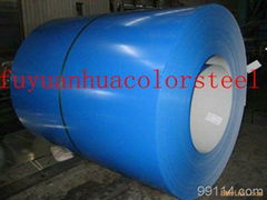 color steel coil