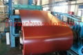 COLOR COATED STEEL SHEET