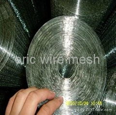 galvanized welded wire mesh 