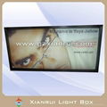 Advertising light box