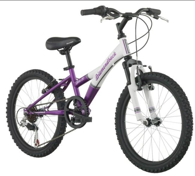 20-Inch Wheels Mountain Bike for girls (Purple)