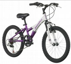 20-Inch Wheels Mountain Bike for girls (Purple)