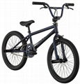 20-Inch Boys Grind BMX Bike with