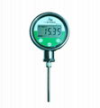 Digital Thermometer