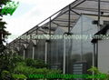 Polycarbonate Greenhouse 1