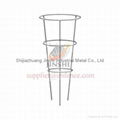 Tomato cage plant Support|Wire Garden Tomato Cages Plant Support|Flower Plant 