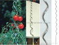 spiral tomato support|tomato support|tomato support iron wire 2