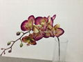 artificial butterfly orchid flower