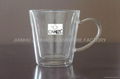 Pyrex Double wall Glass cup 1