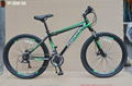 26"x1.95 steel frame 18 speed phoenix mountain bike 1