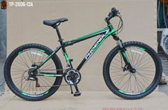 26"x1.95 steel frame 18 speed phoenix mountain bike