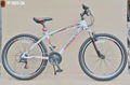 26"X1.95 Steel frame 18 speed phoenix mtb bike 1