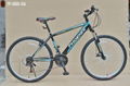 26"x1.95 steel frame 18 speed phoenix